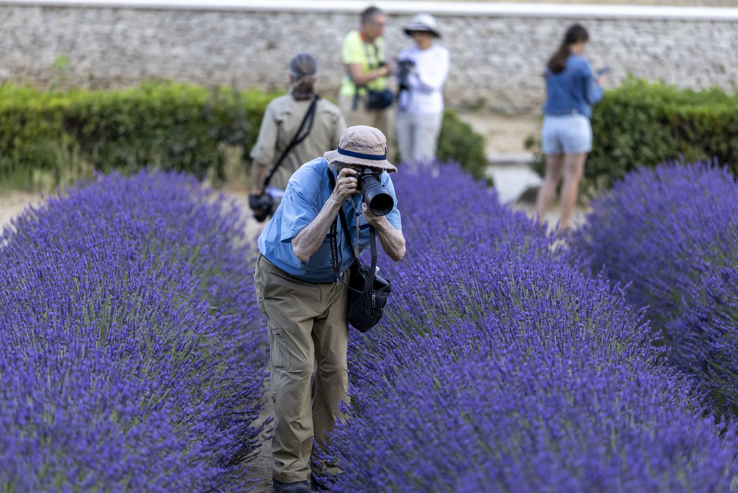 Workshop participants in the lavender fields of Provence, capturing the vibrant scenery.