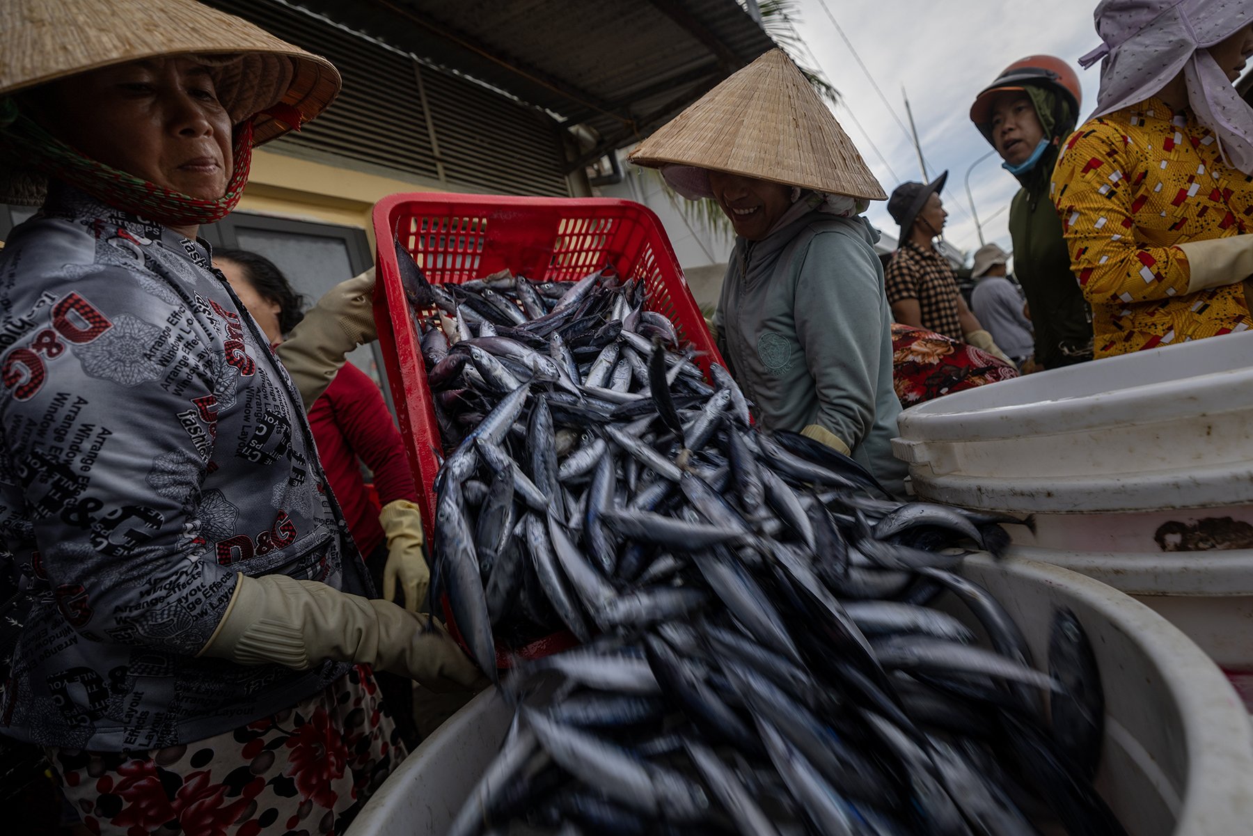 Women run the open-air fish market in Vietnam