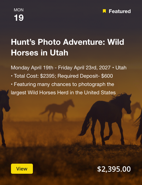 Poster for Hunt's Photo Adventure in Utah, featuring wild horses, running in a sunset landscape, running across a field with trees in the background.