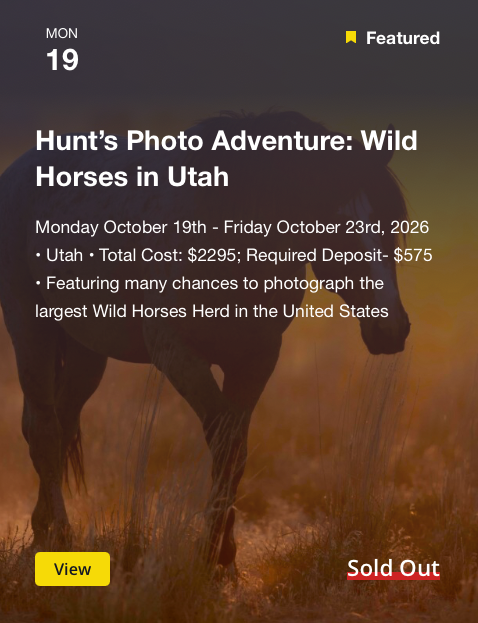 A promotional poster for a Wild Horse photo adventure in Utah, scheduled from October 19 to October 23, 2026, featuring a silhouette of a wild horse in a sunset background with text and a "Sold Out" label.