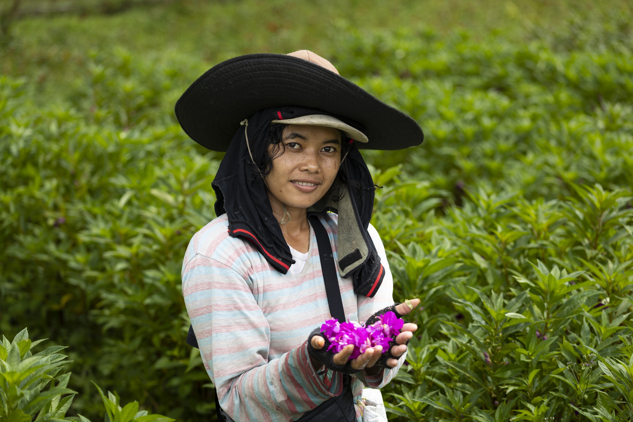Person holding pink flowers in a garden, wearing a wide-brimmed hat and striped shirt Bali, Indonesia.