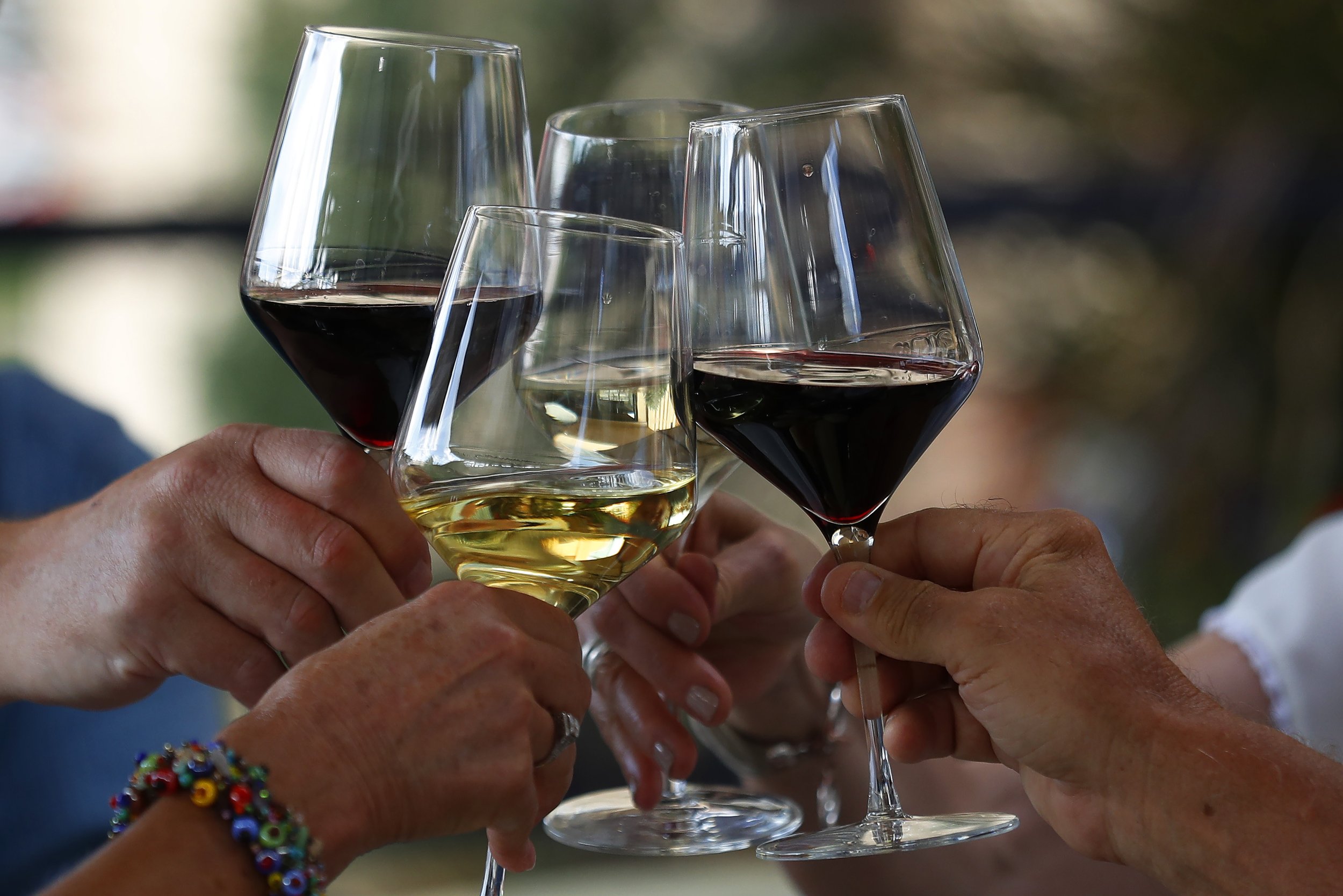 Group of people toasting with red and white wine glasses.