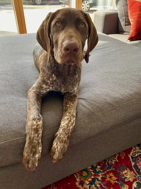 Maxi