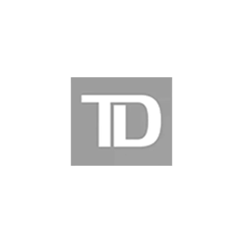 Grey and white TD logo