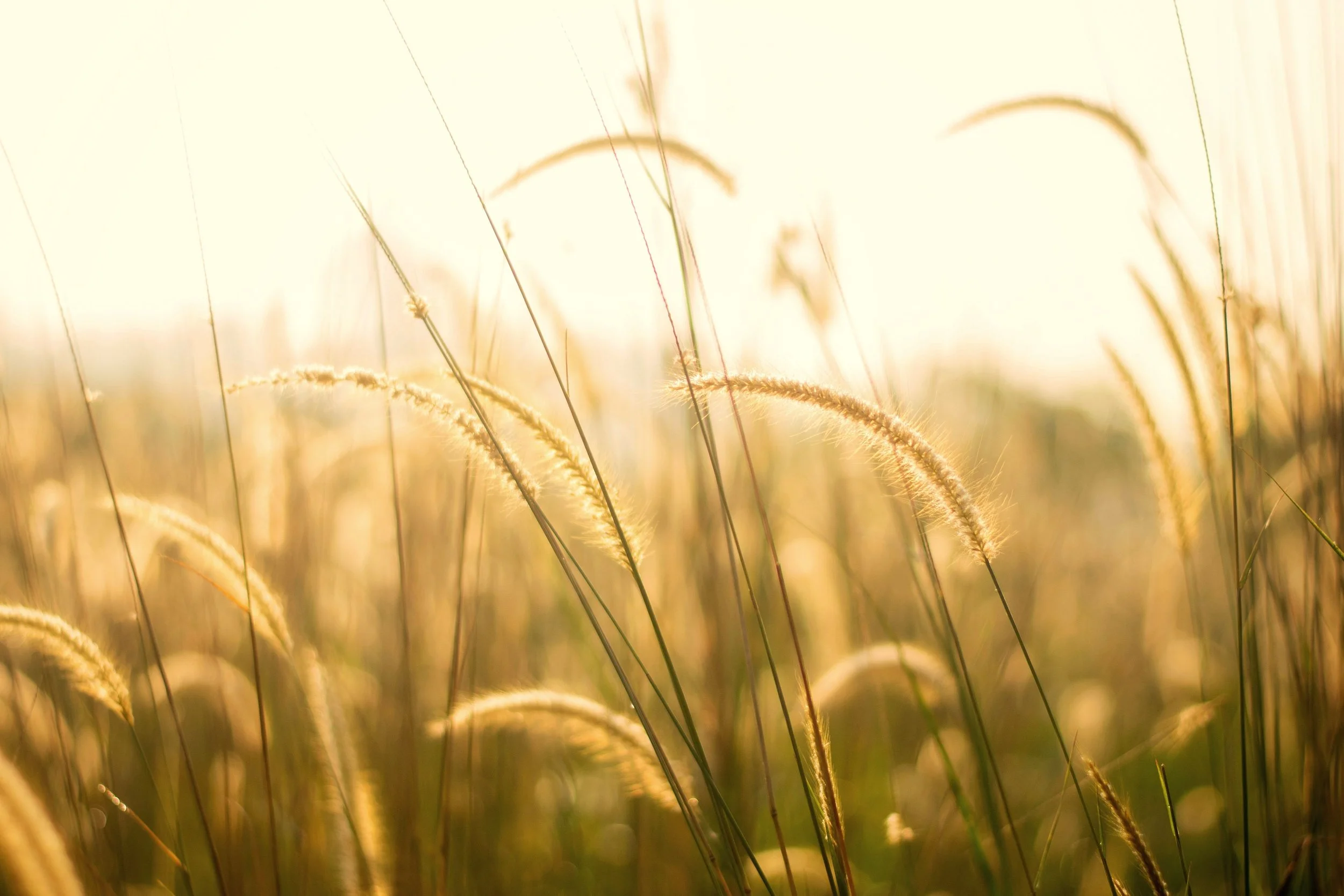 Healing Without Erasing: Holding Both Pain and Growth