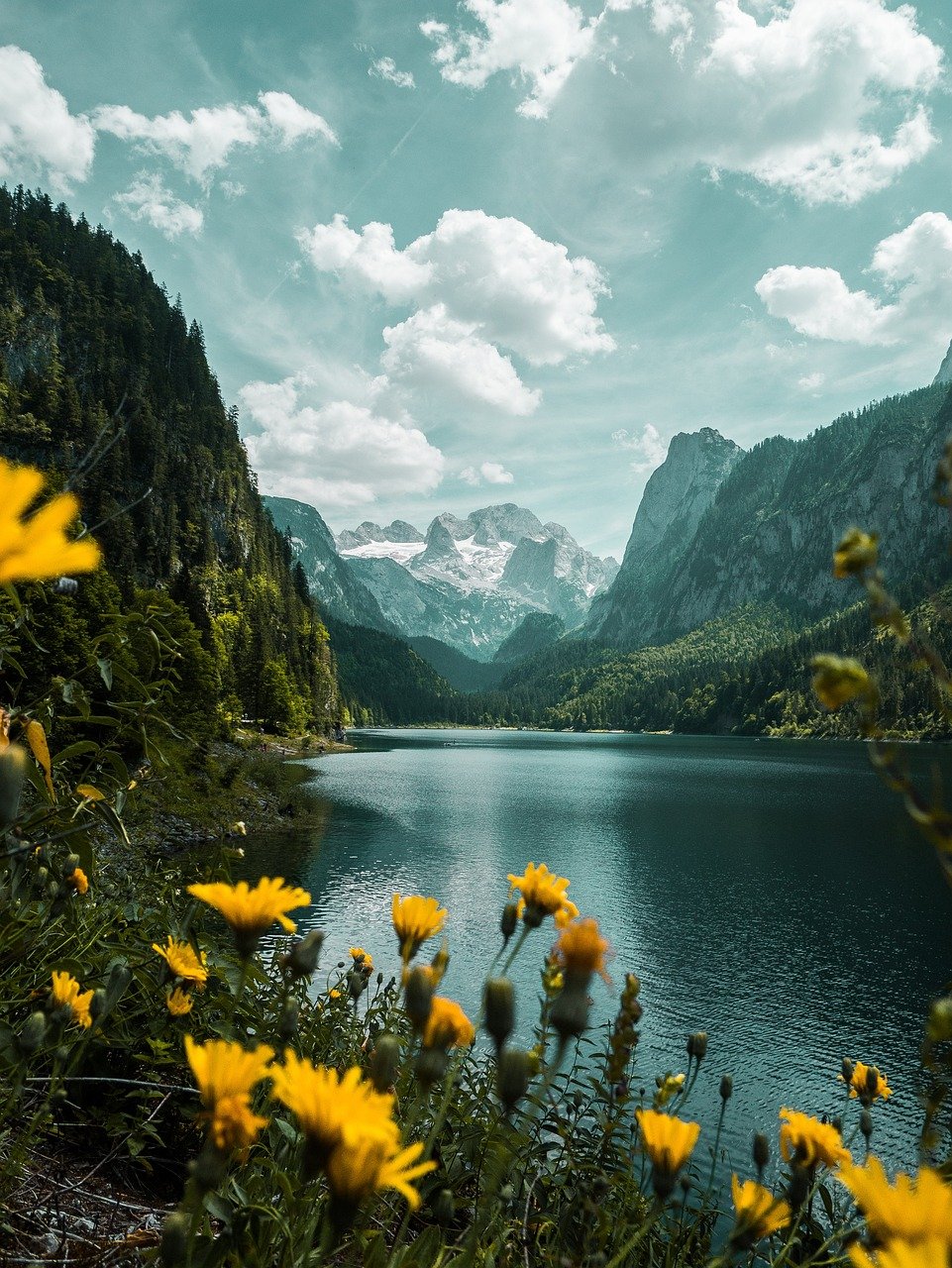 landscape nature