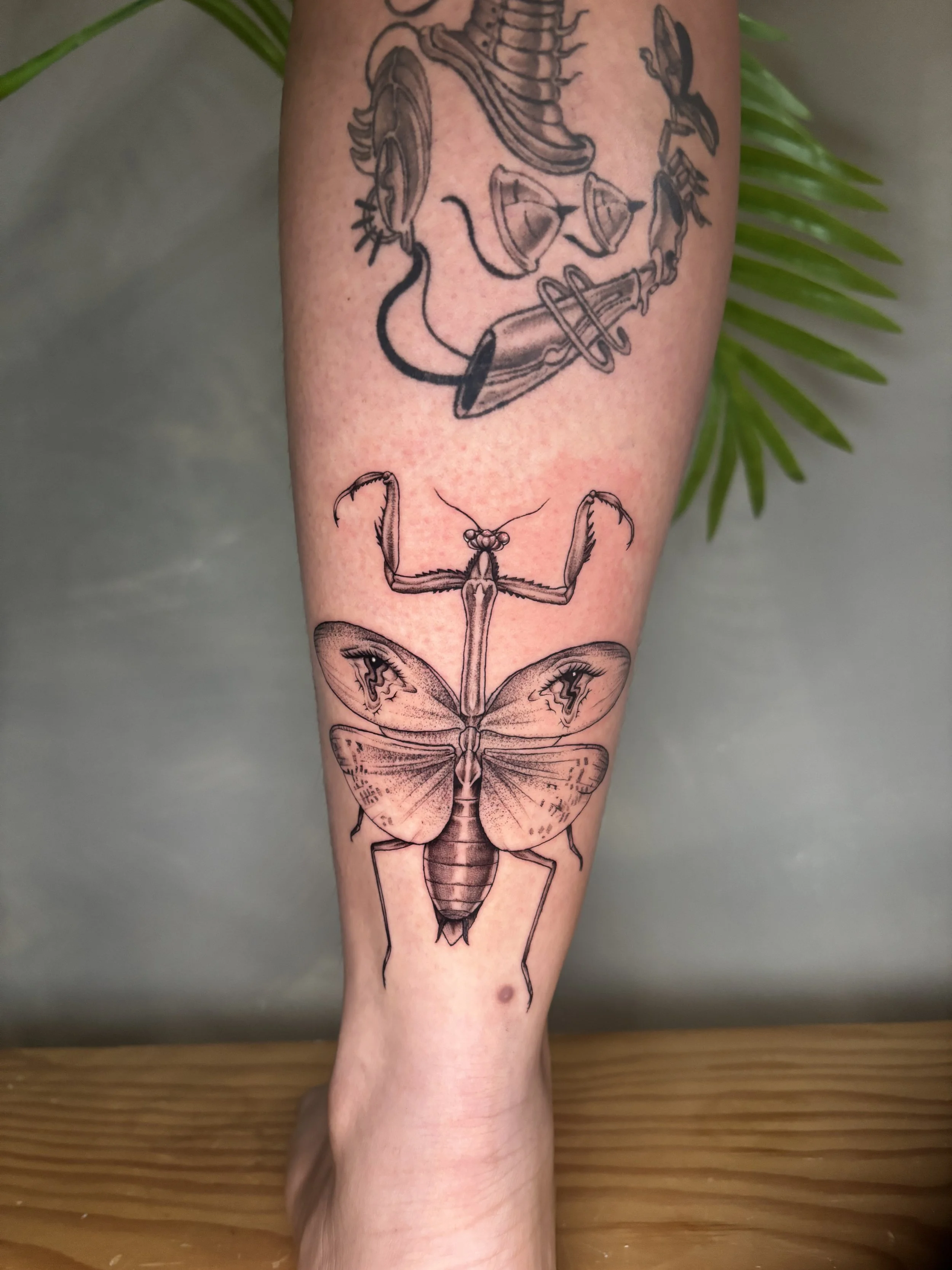 A tattoo on a person's forearm featuring an array of insects, including a wasp, a beetle, and a butterfly, all illustrated in black and gray line art style.