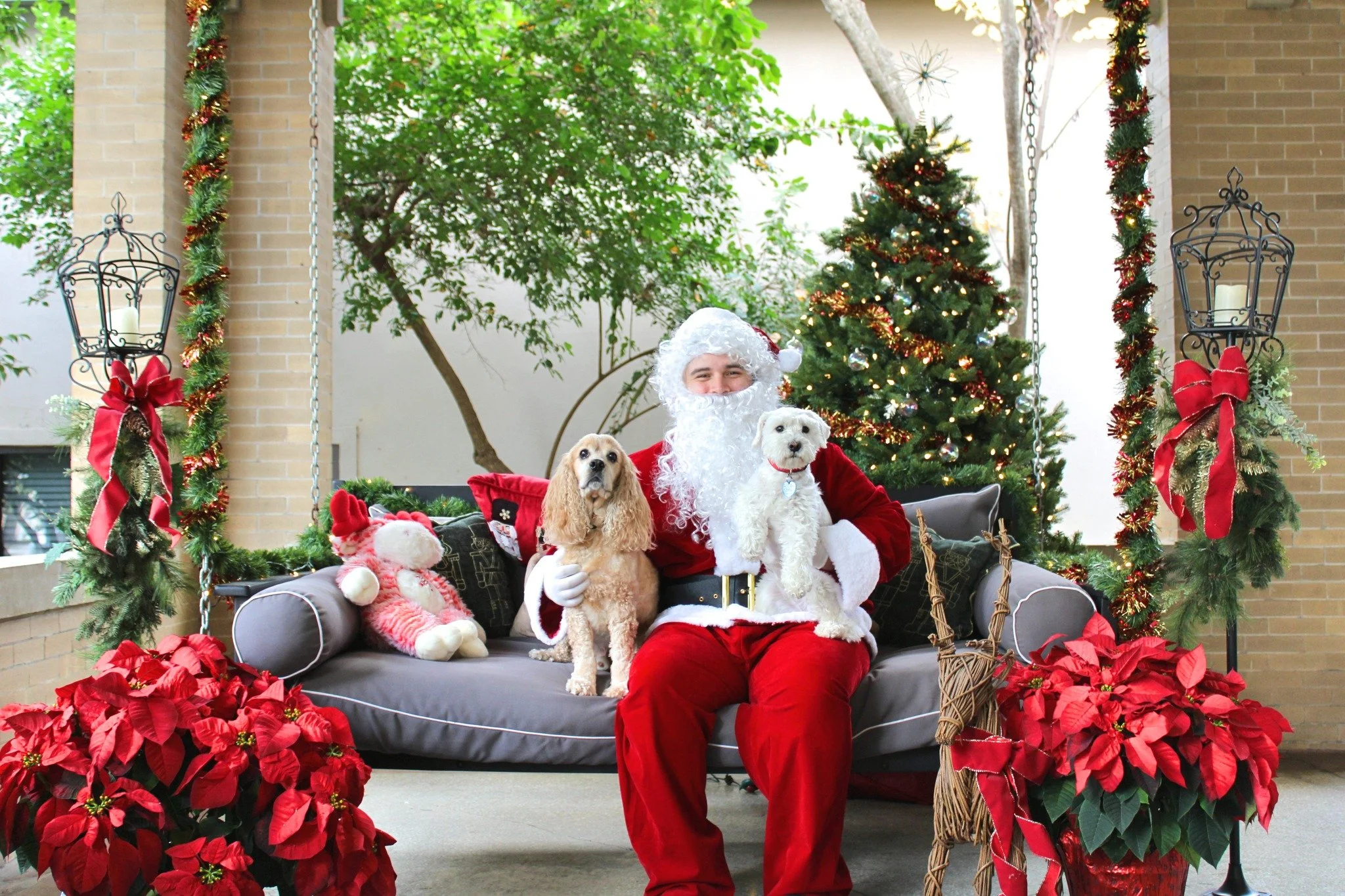 Pet Pictures with Santa might be our new favorite holiday tradition.
Thank you to everyone who joined us&mdash;your pets made the season extra bright. ✨🐾🎅🏼

Congratulations to Poppy, one of the sweet Cocker Spaniels who visited us, for winning a c