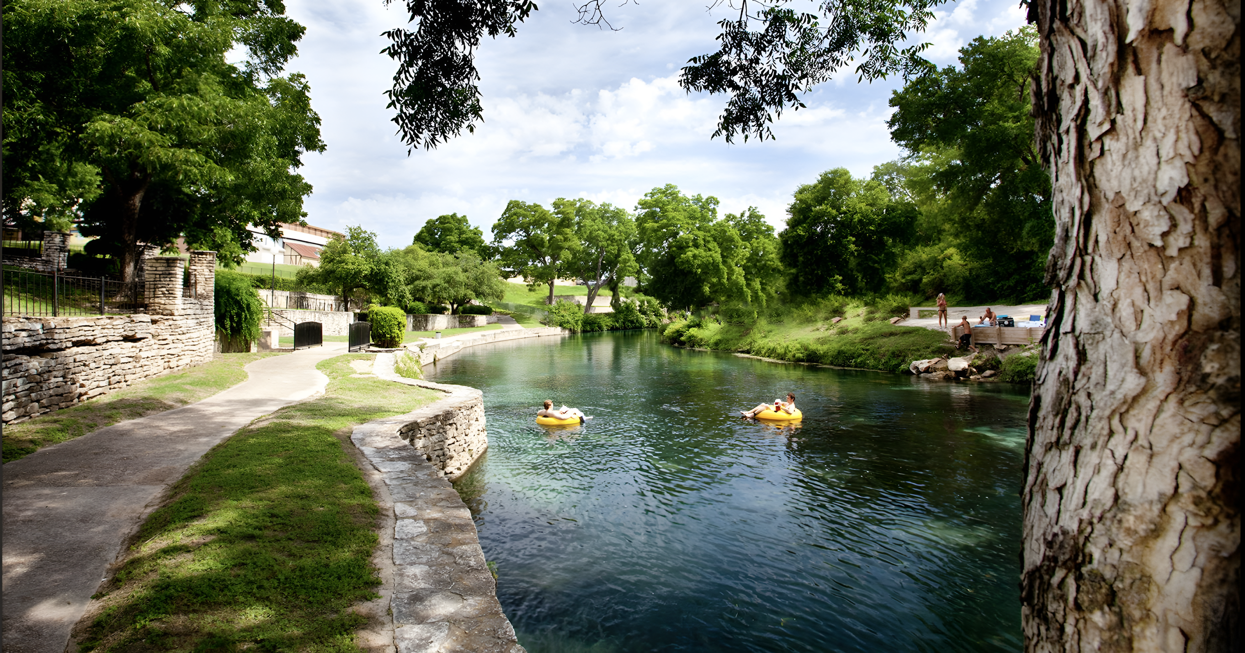 People floating on yellow inner tubes in a river surrounded by green trees and grassy banks, with a stone pathway and stone wall on the left side and a large textured tree trunk on the right.