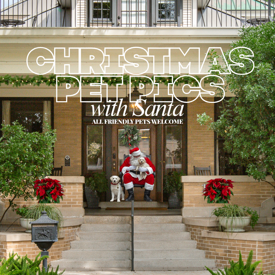 Christmas Pet Pics with Santa