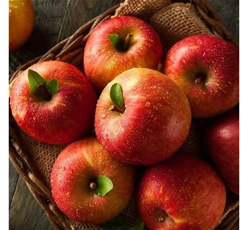 apples.jpg