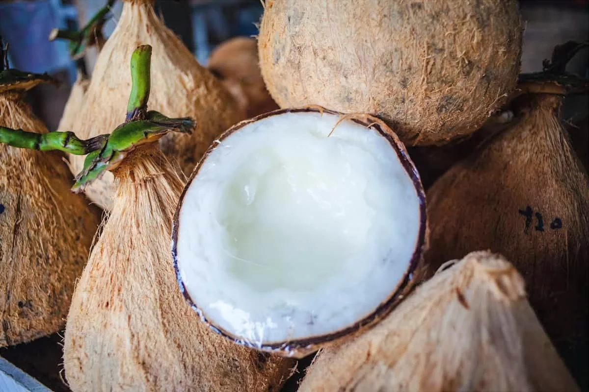 Coconut-cut-in-half.jpg