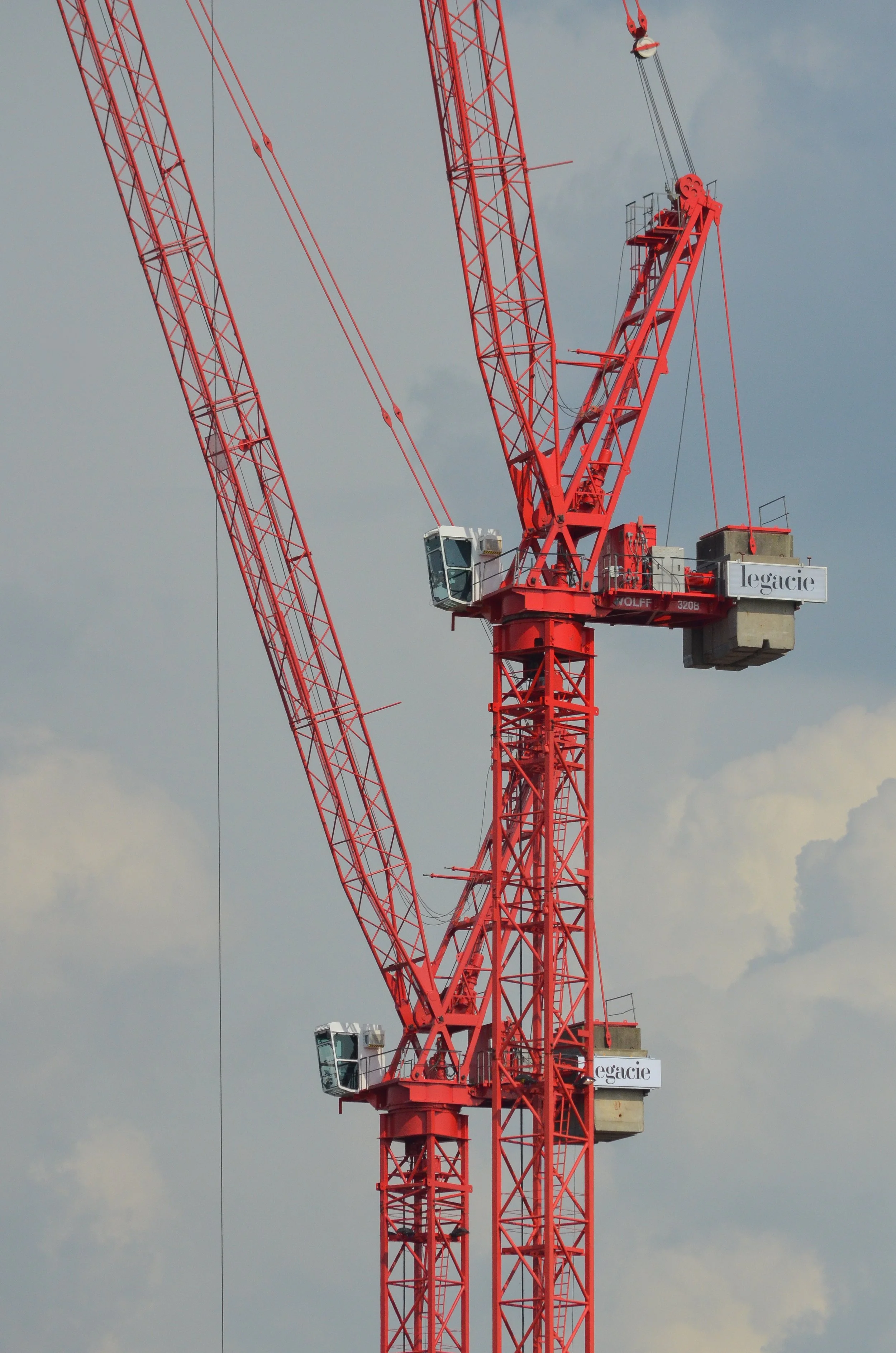 Crane.jpg