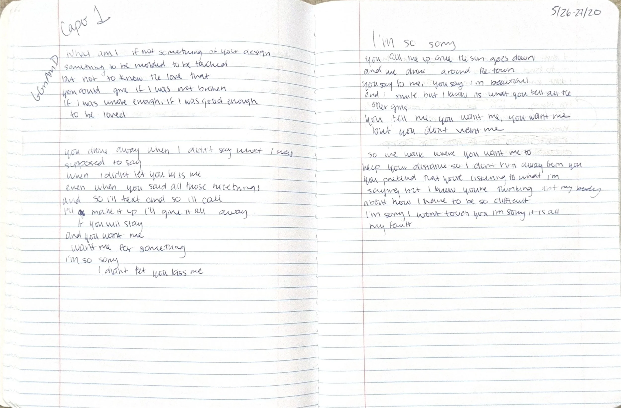 Project Red Notebook_Page_5.jpg