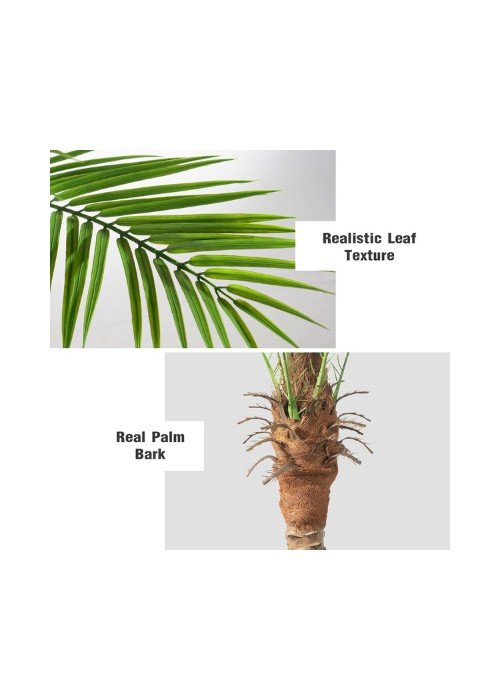 tropical-palms-description.jpeg