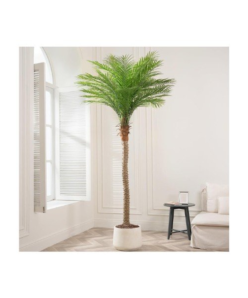 9ft Artificial Palm Trees for Rent in Connecticut