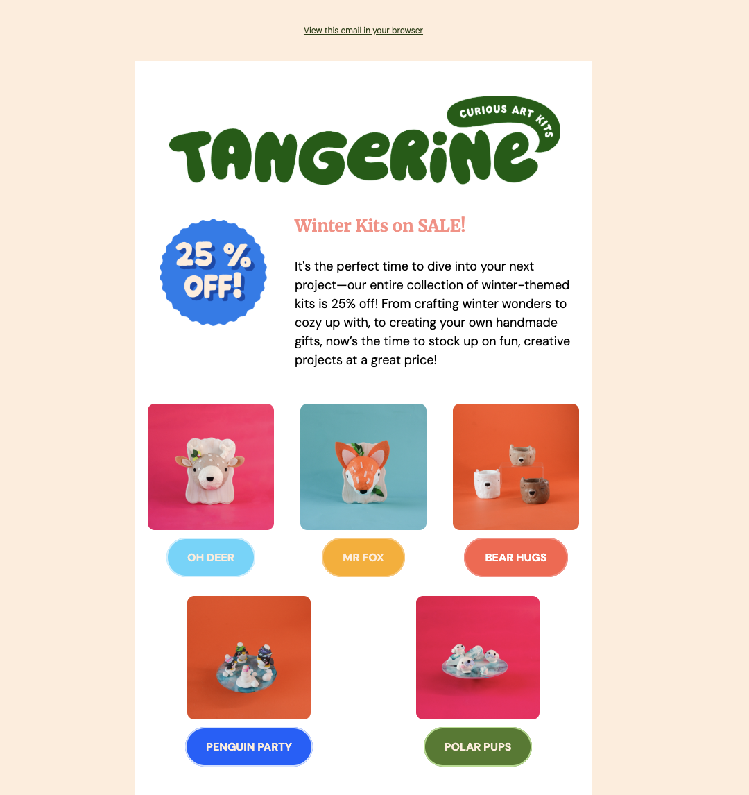 Email Campaign