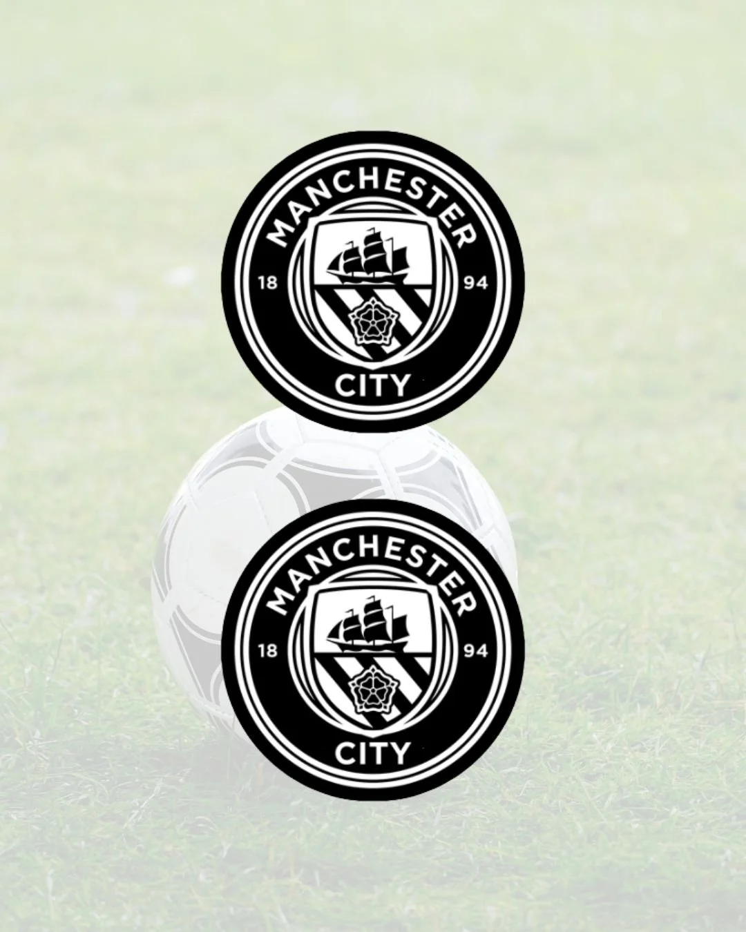 Manchester City Surround Decals