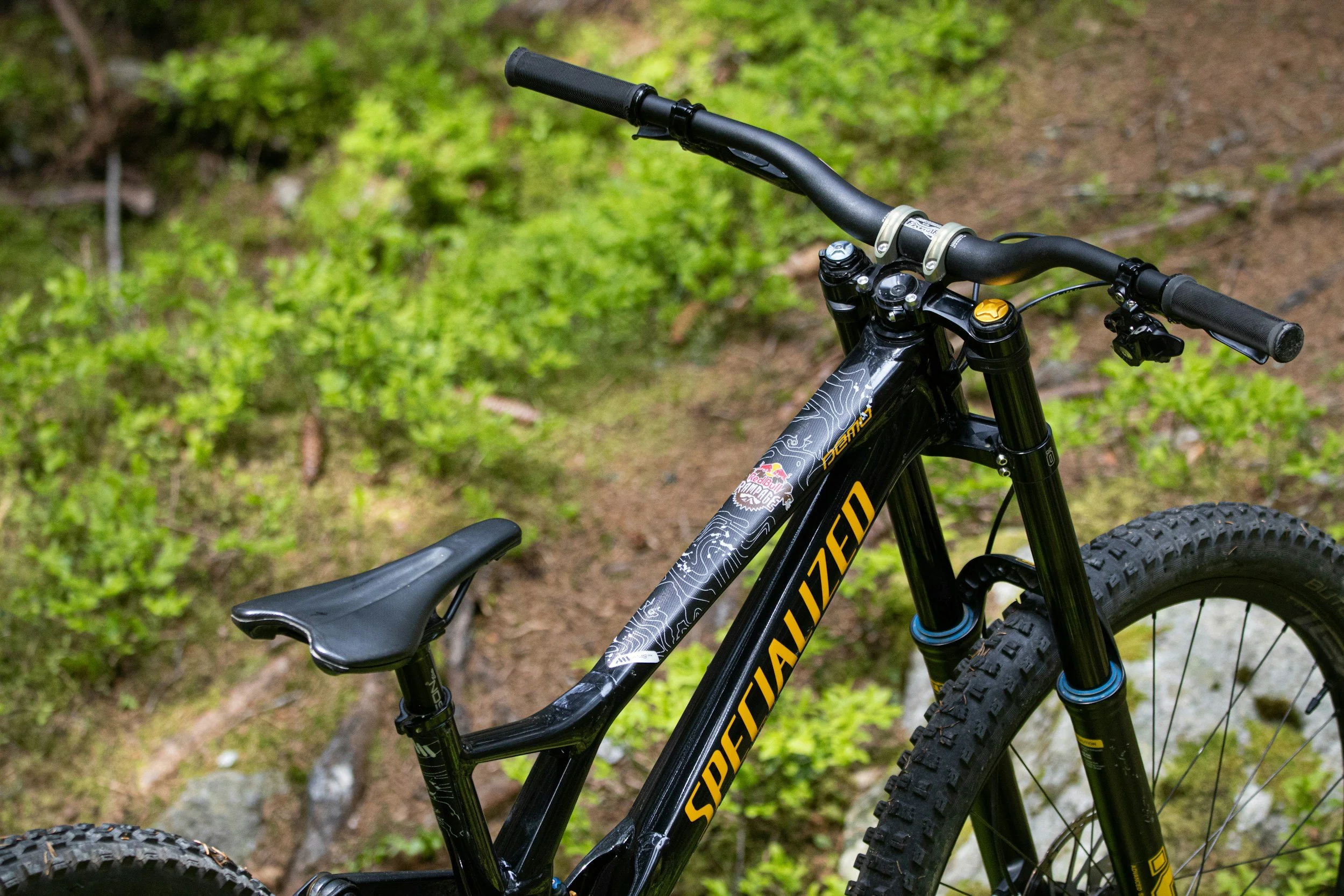 A black Specialized mountain bike with yellow lettering, set on a trail with green foliage in the background.