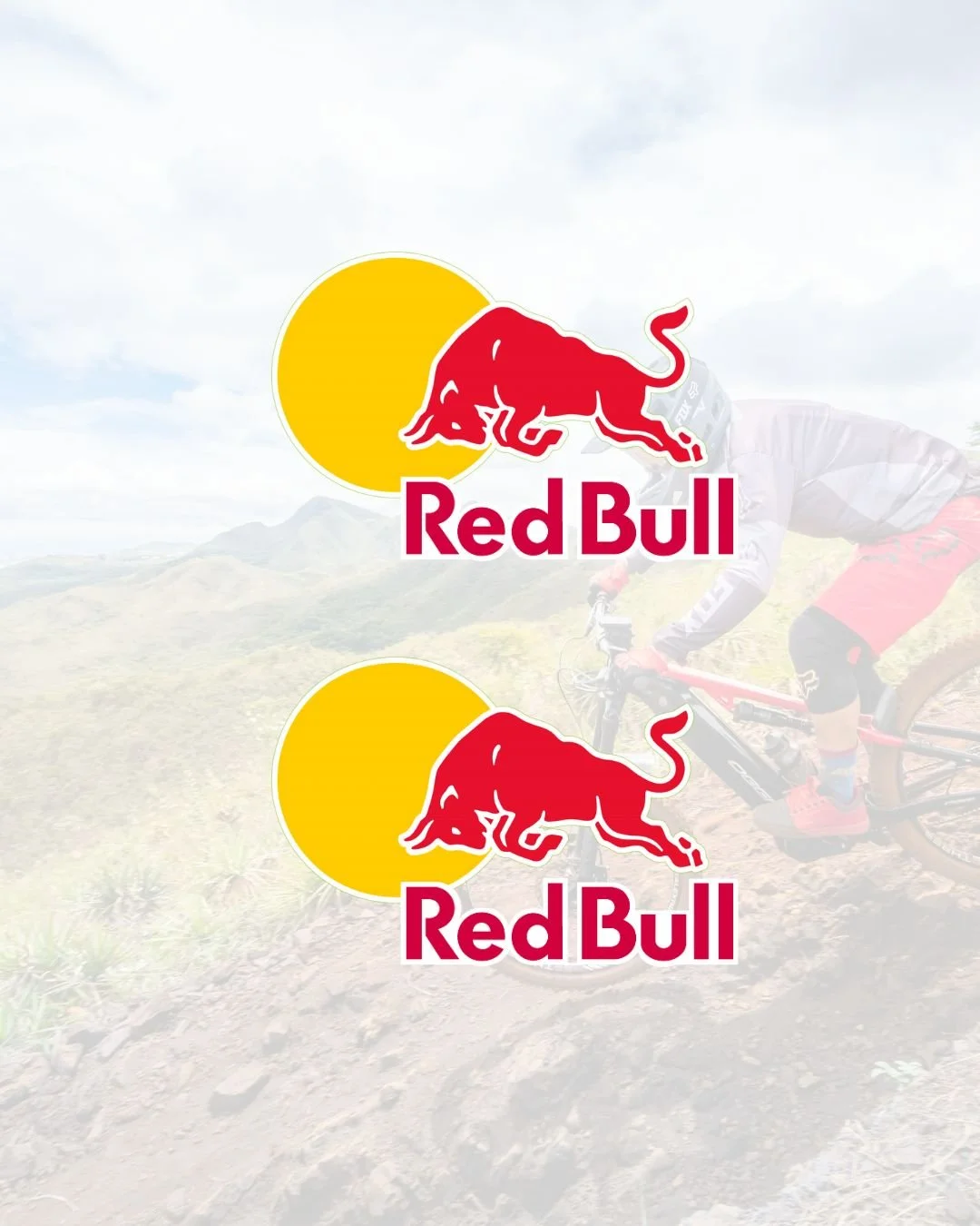 2 Red Bull Decals