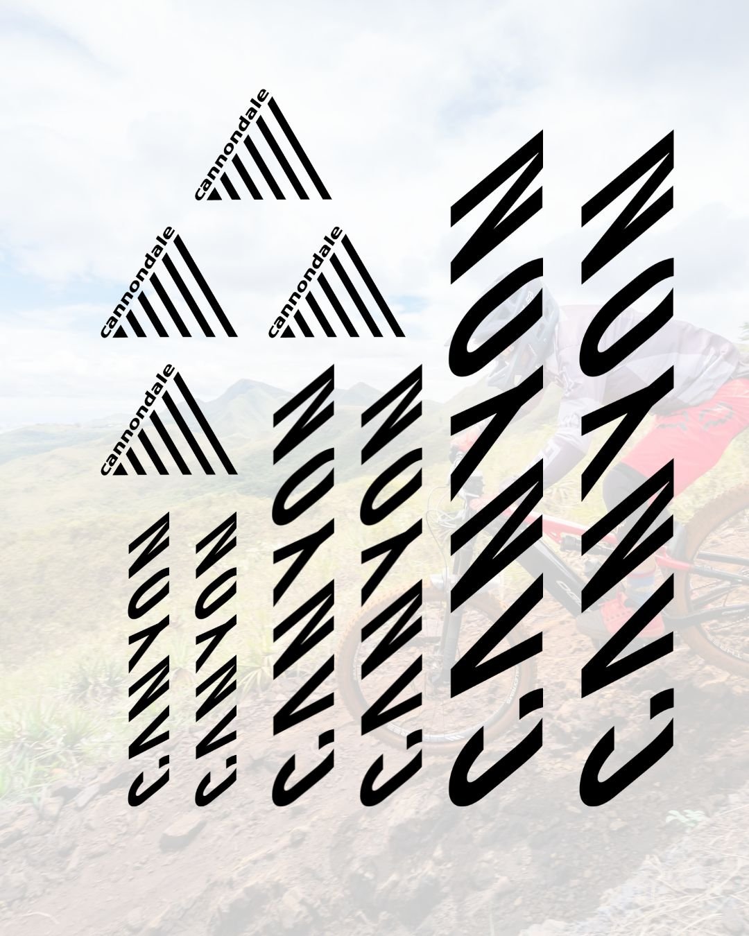 Cannondale Decal Pack