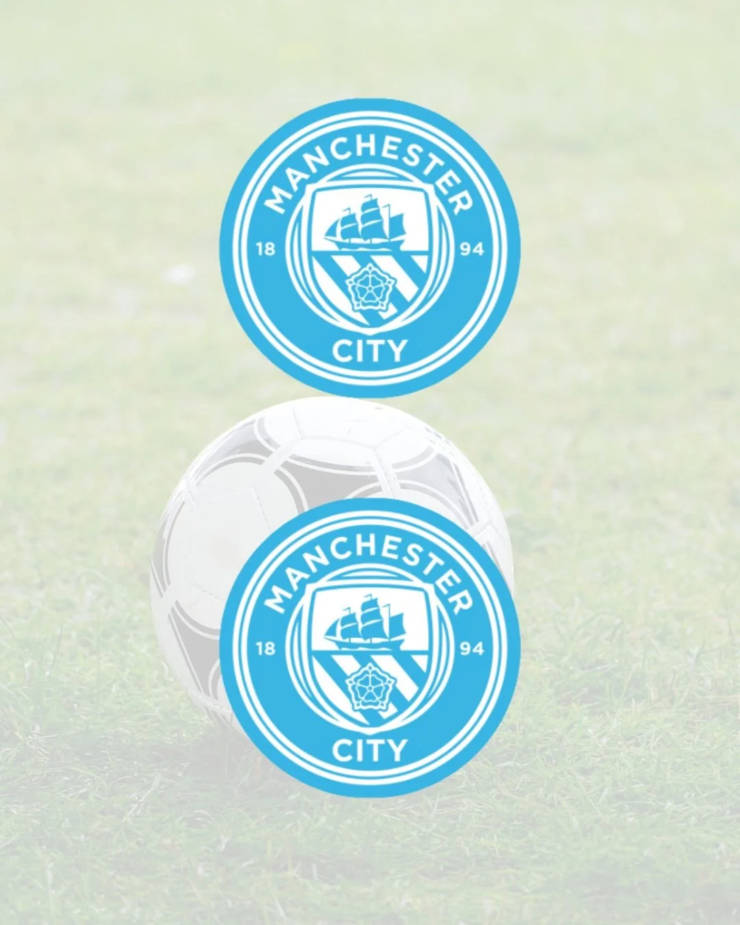 Manchester City Surround Decals