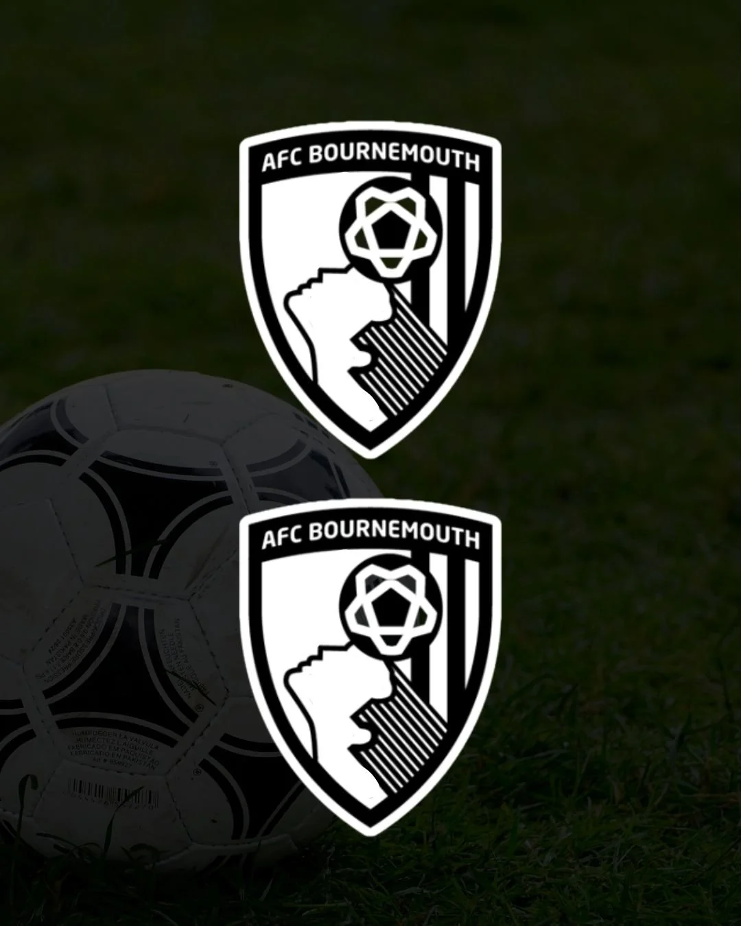 Bournemouth Surround Decals