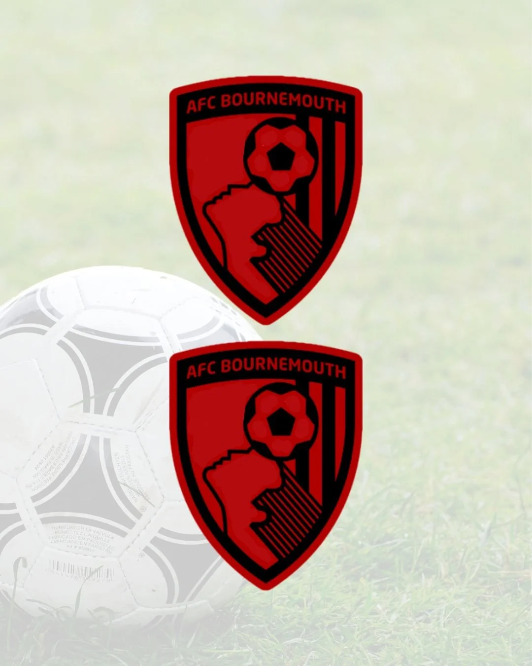 Bournemouth Surround Decals