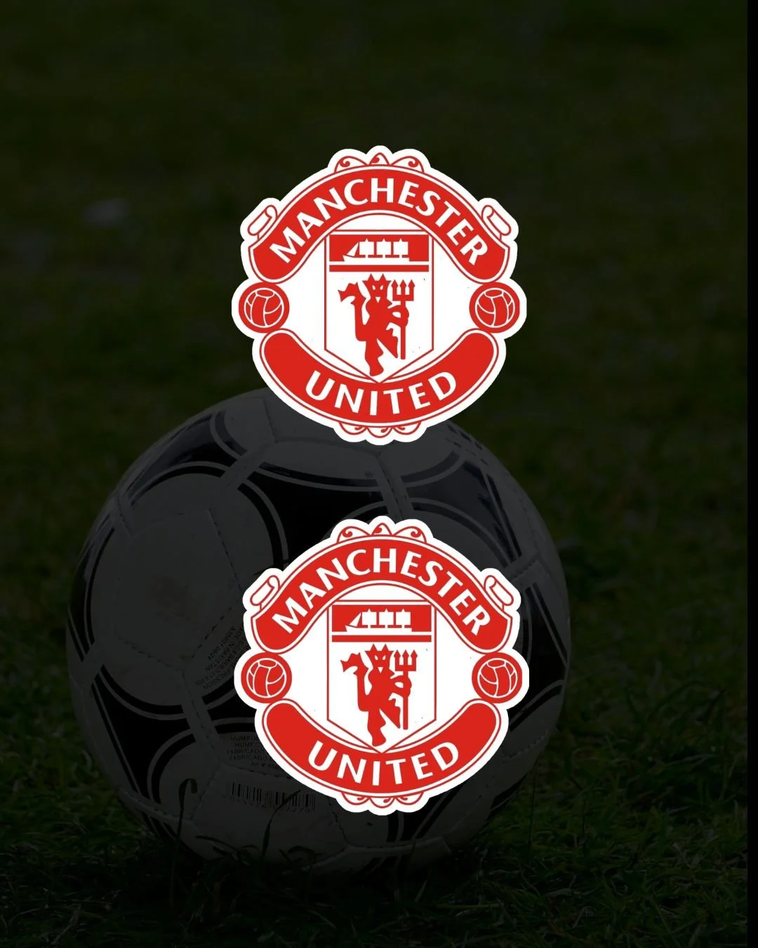 Manchester United Surround Decals