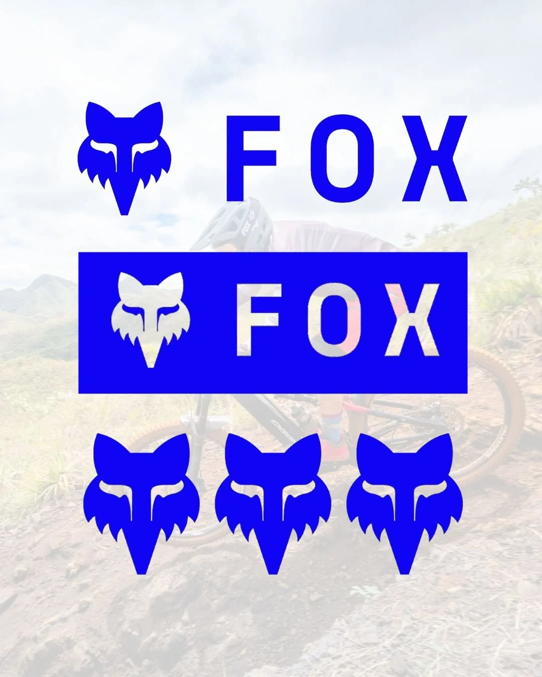 5 Fox Decal Pack