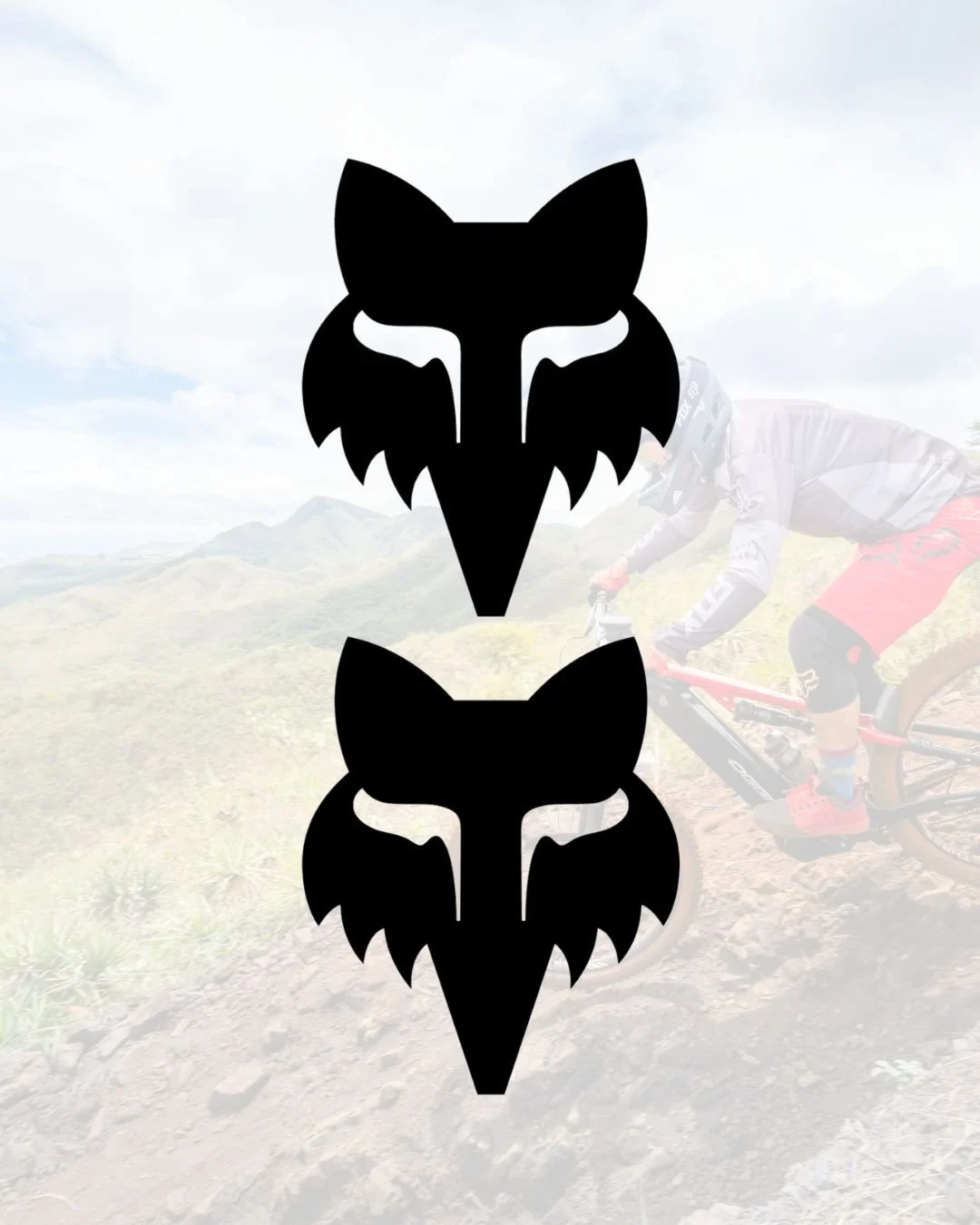 2 Fox Decals