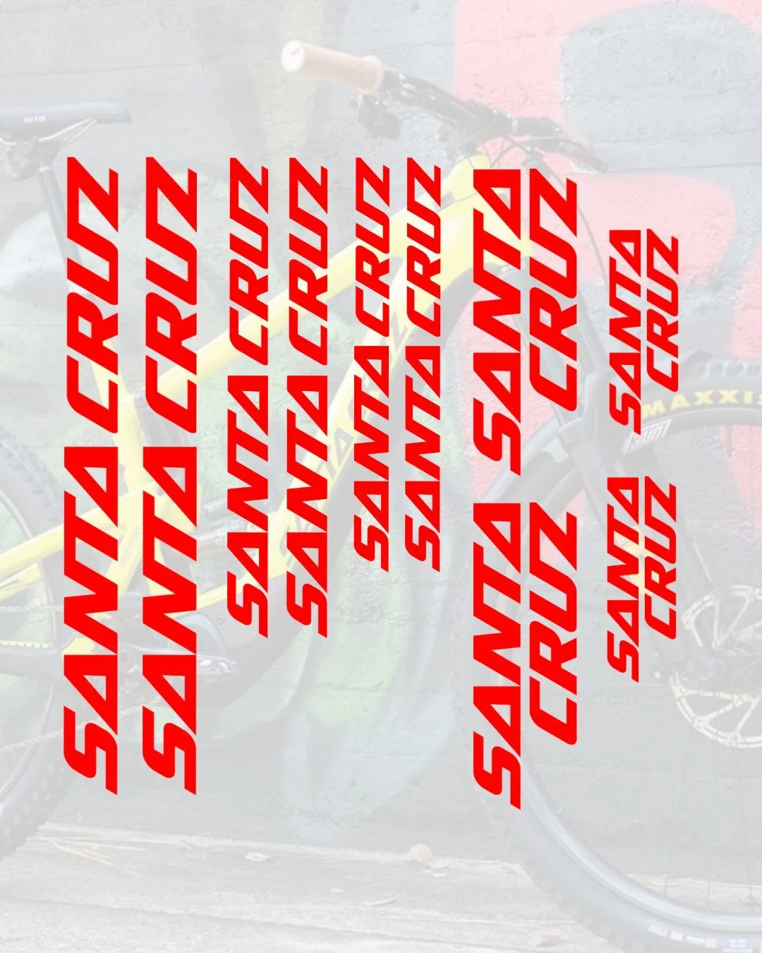 Santa Cruz Decal Pack