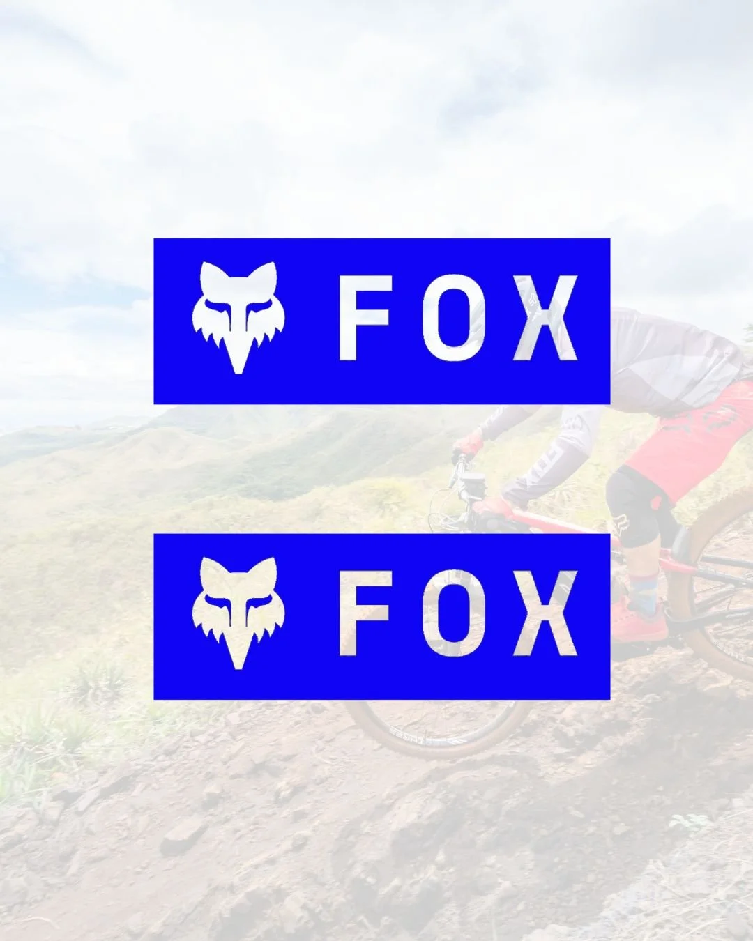2 Fox Decals