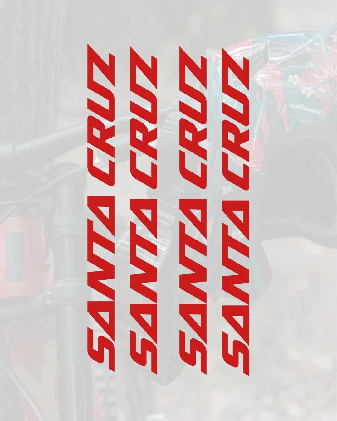 Santa Cruz Decal Pack