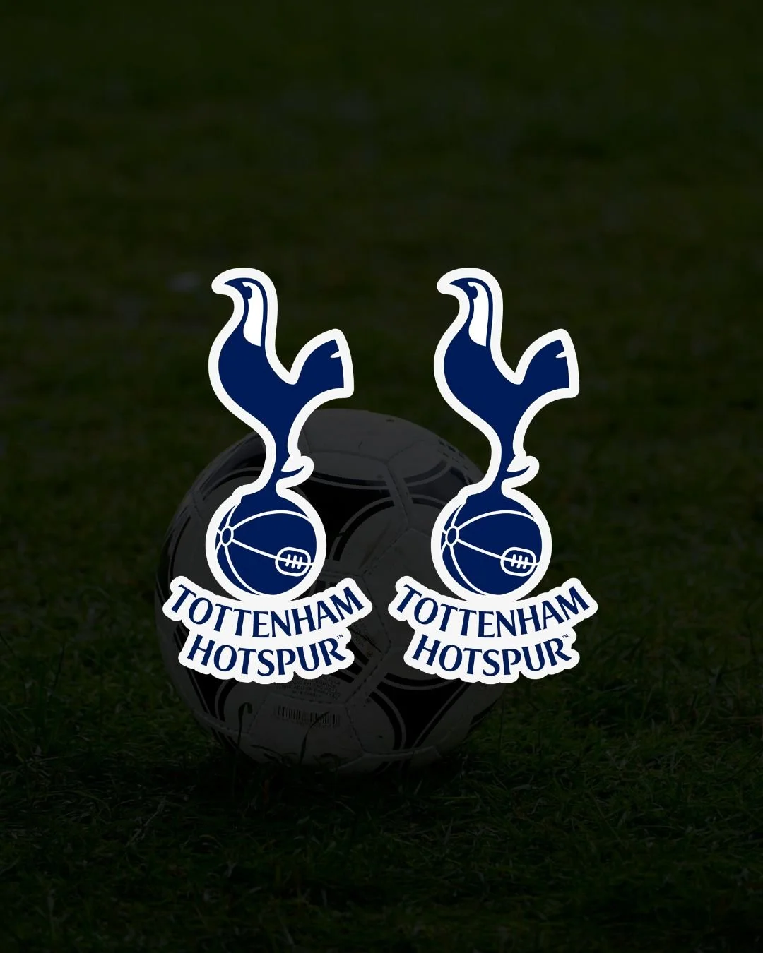 Tottenham Hotspur Surround Decals