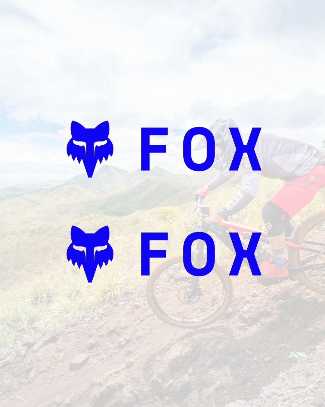 2 Fox Decals