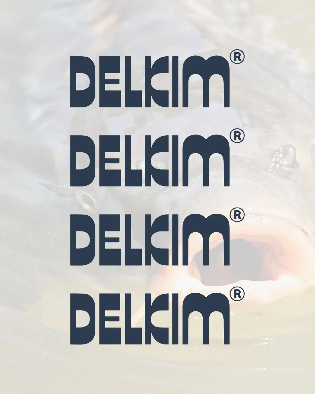 4 Delkim Decals