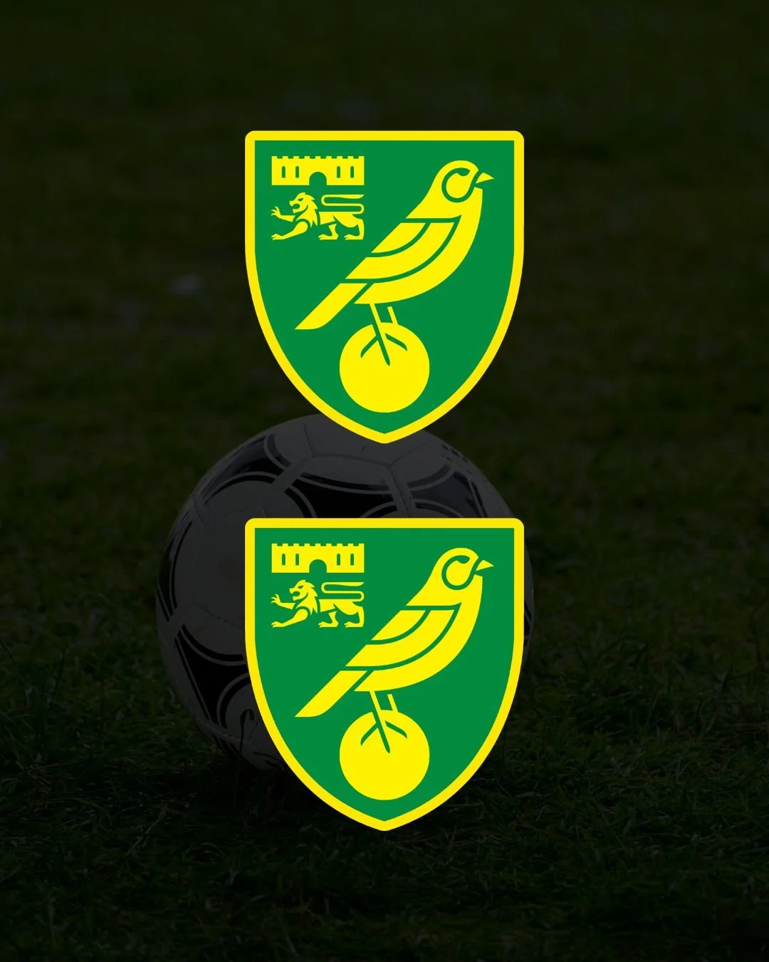Norwich City Surround Decals