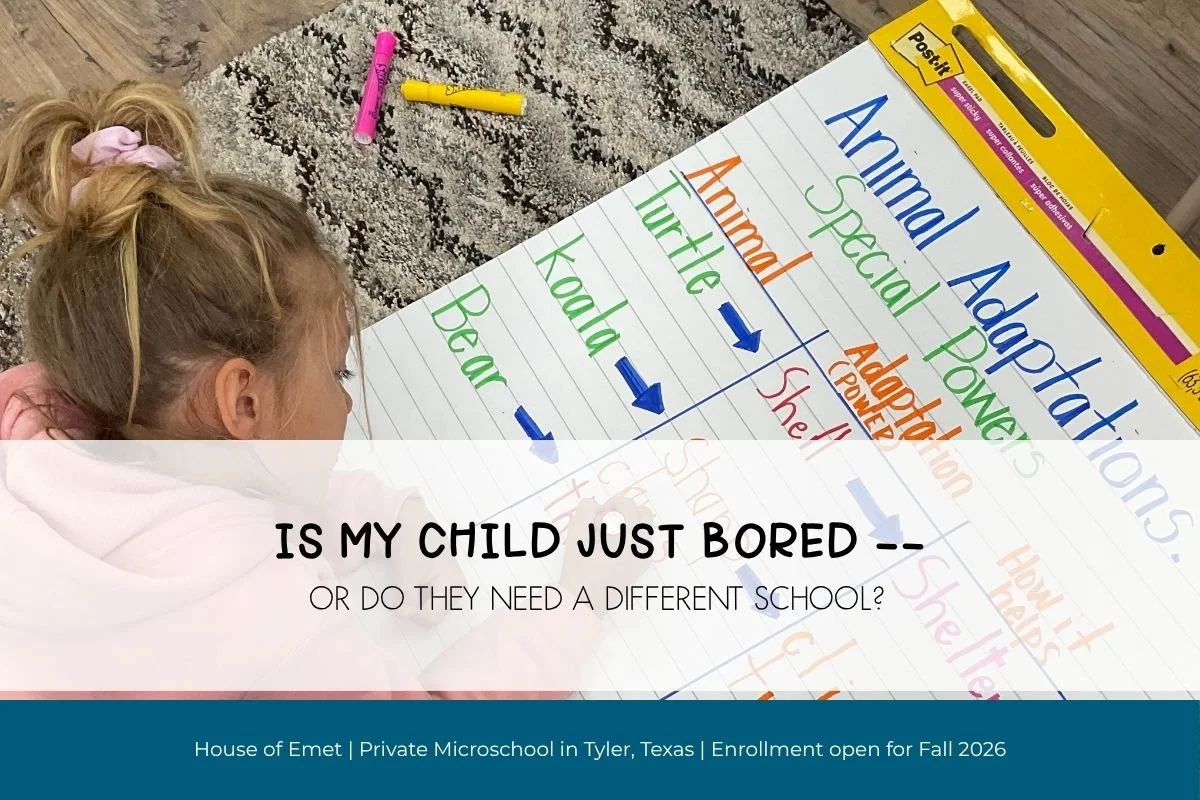 Is My Child Bored— Or Do They Need a Different School? 