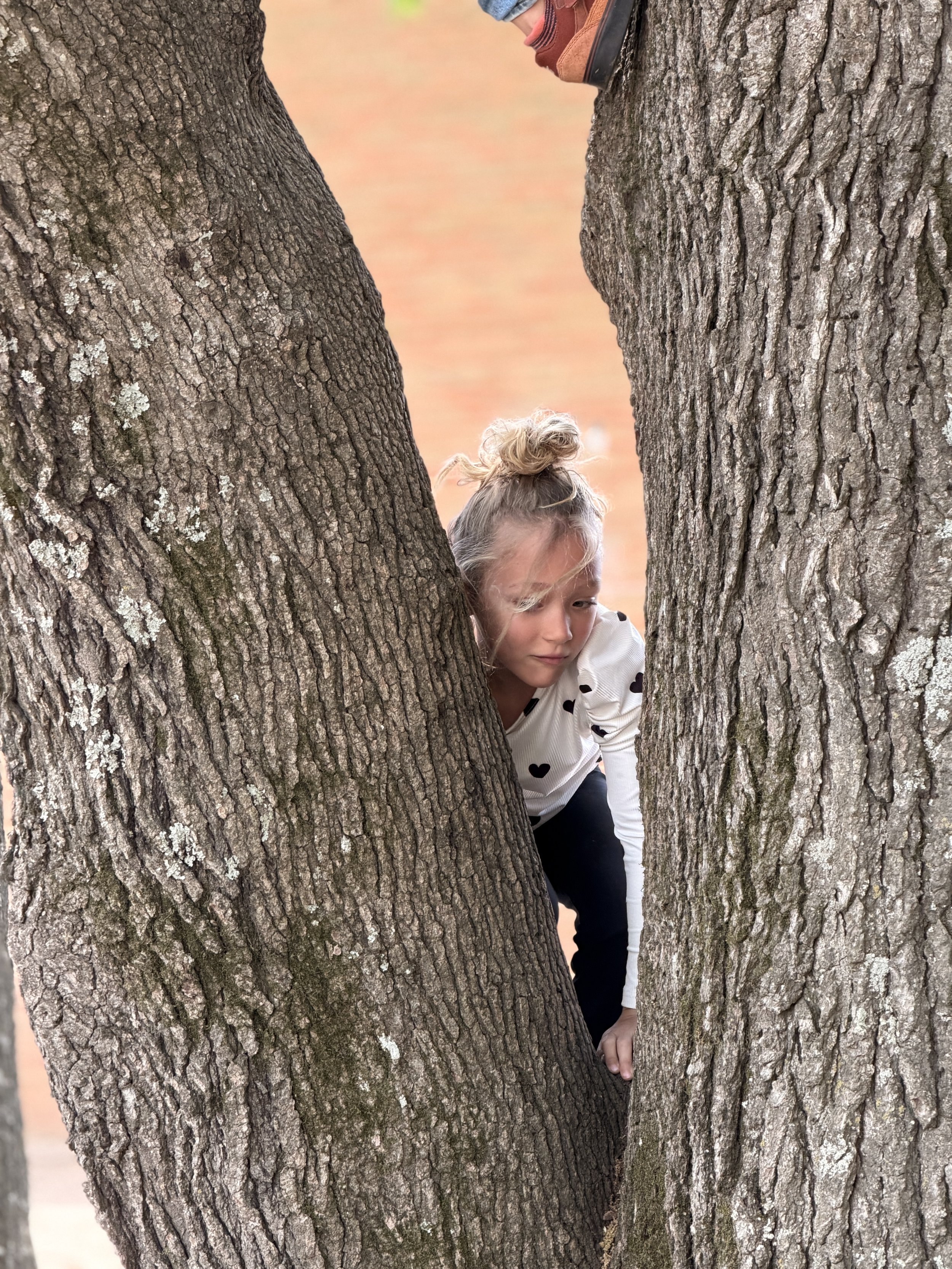 A 1st grader climbing a tree during recess at House of Emet