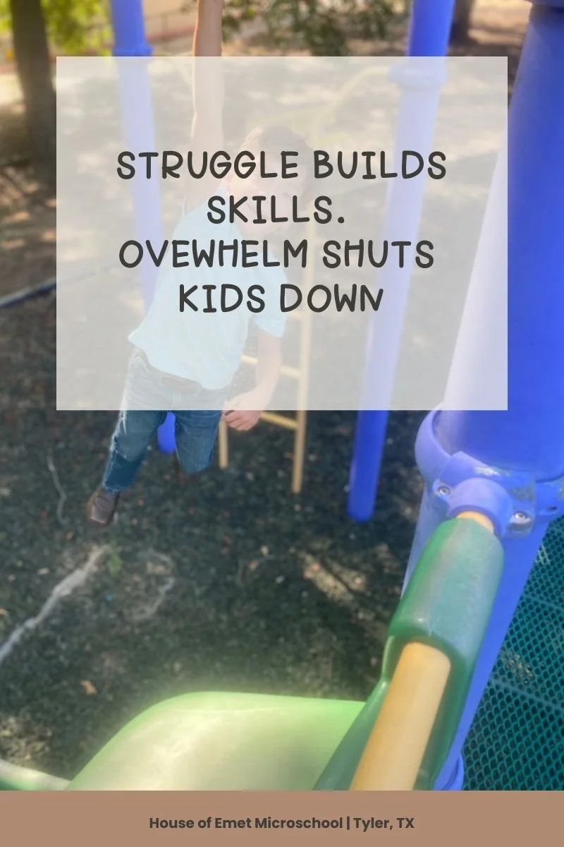 Difference between healthy struggle and school overwhelm in elementary children