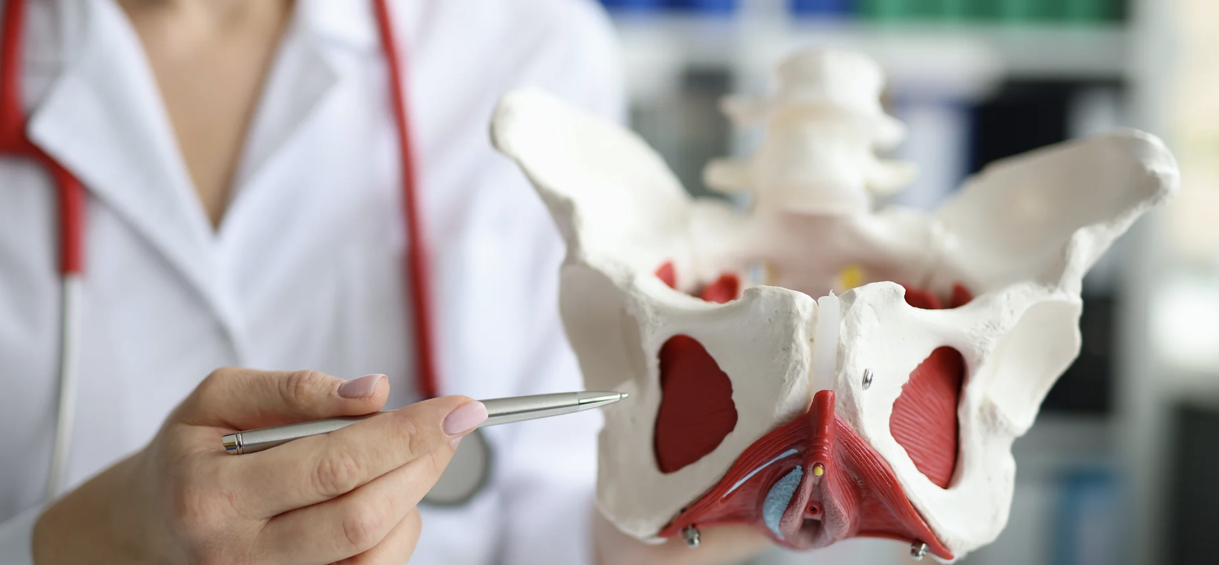 What even is Pelvic Floor Physical Therapy?