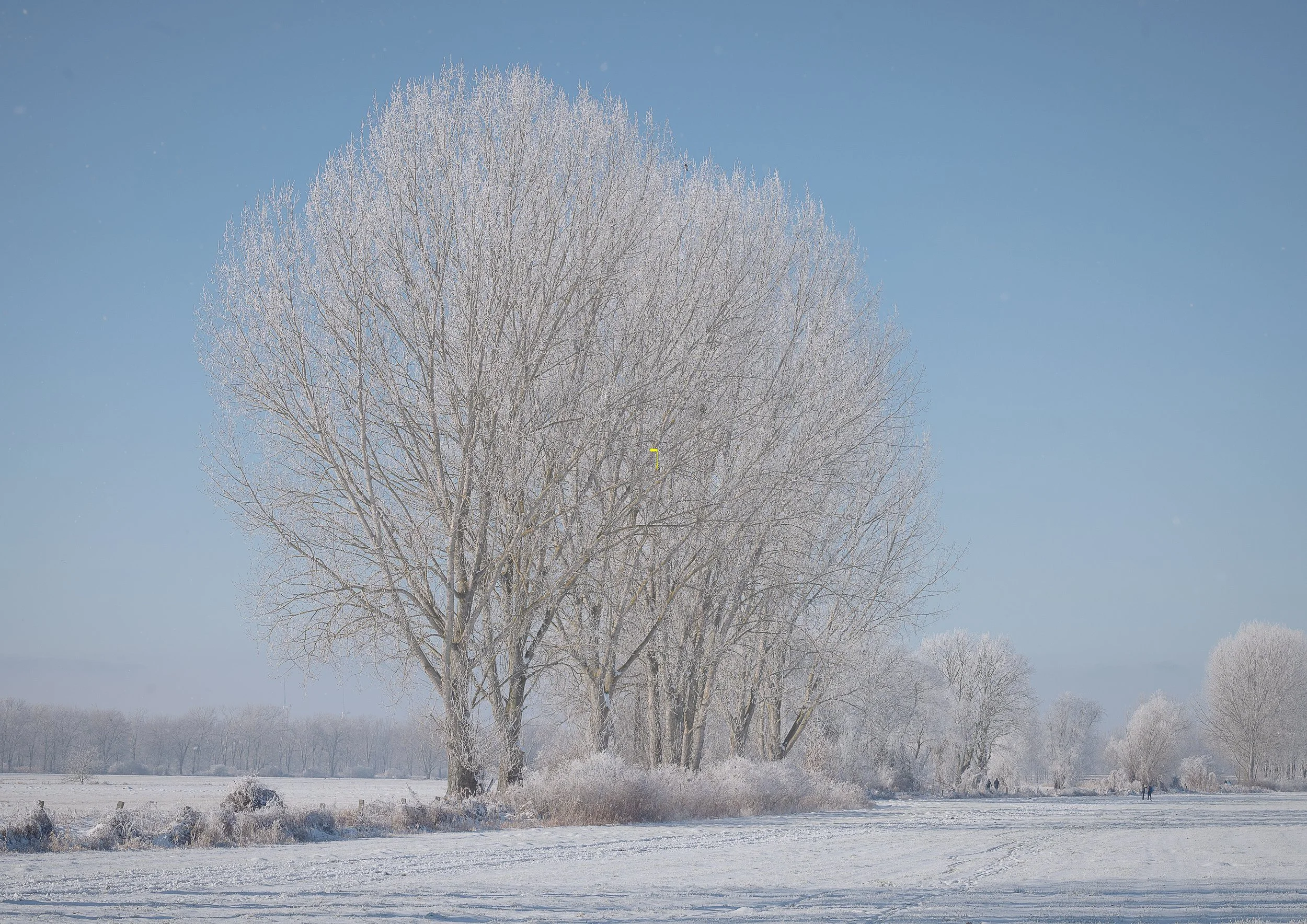 Fotos, längs des Weges...