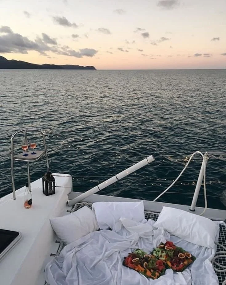 Découvrez notre offre gastronomique à bord