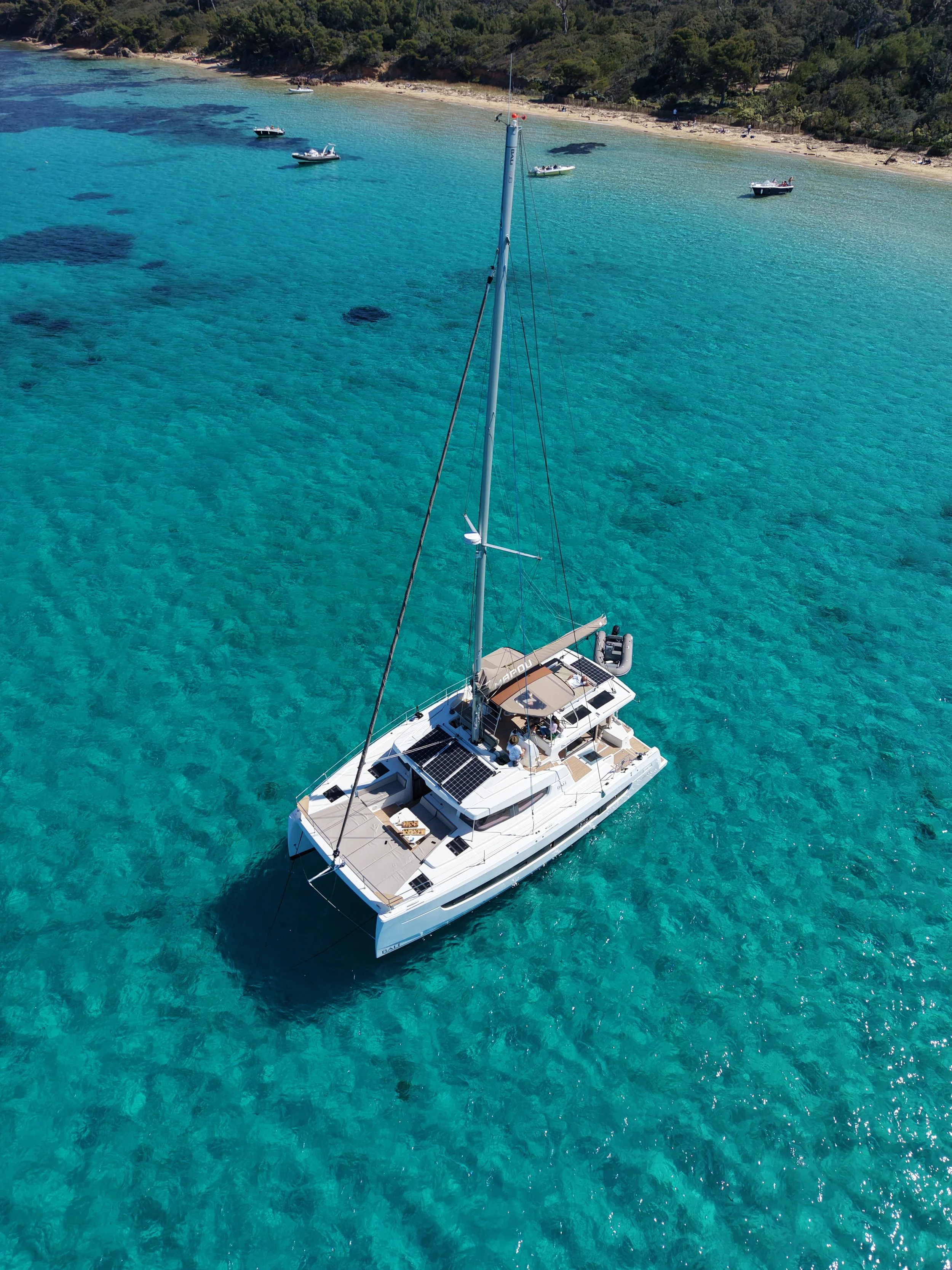 Un catamaran Bali 4.6 flottant sur une mer turquoise claire près d'une plage avec des arbres en arrière-plan.