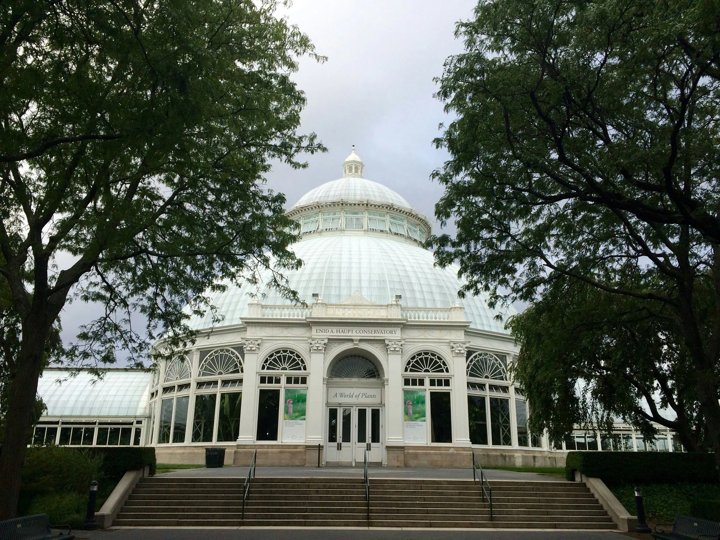 New York Botanical Garden's white conservatory with a large dome, surrounded by trees, with steps leading up to the entrance.