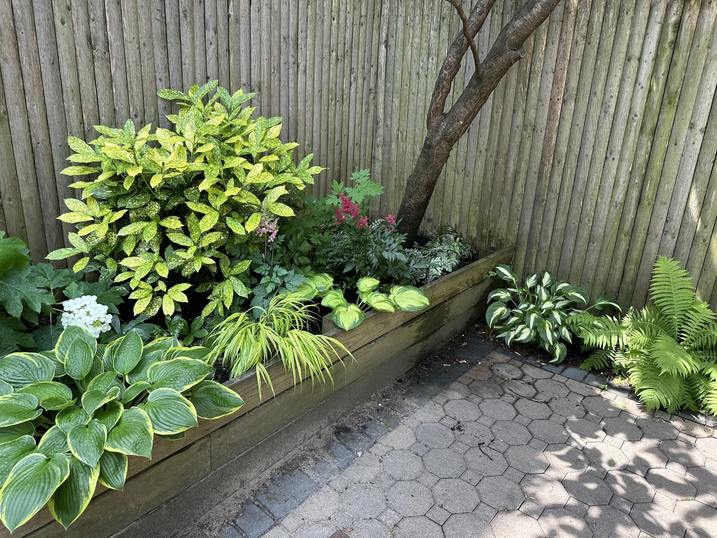 Shady Raised Planter Bed