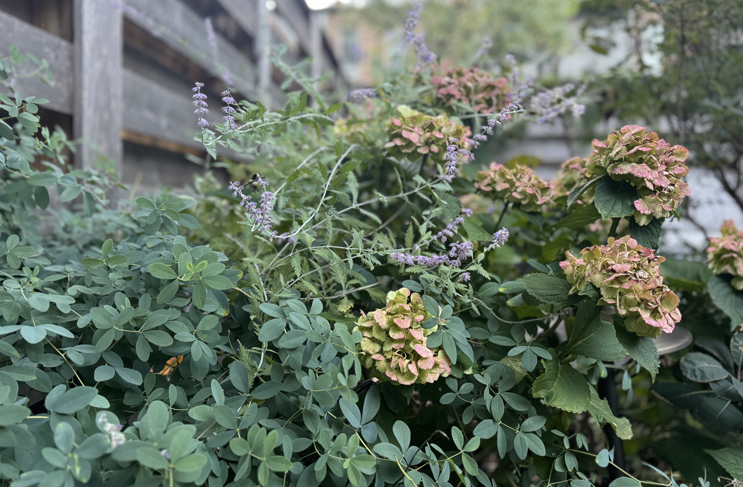 Screen Shot 2025-06-06 at 3.47.42 PM.png