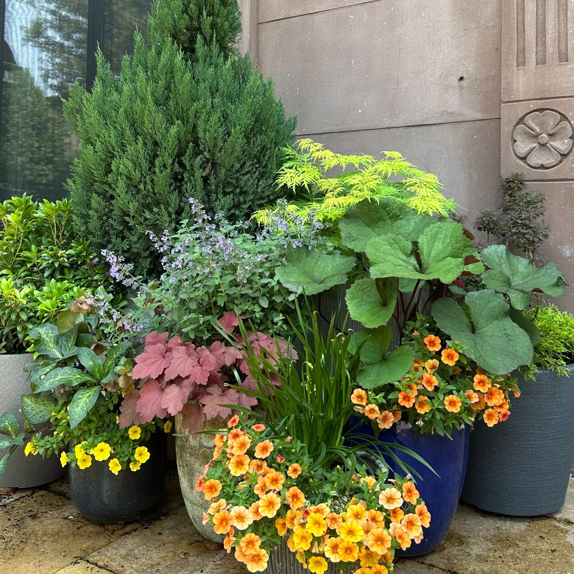 Arrangement of potted plants, including green shrubs, large leafy plants, and colorful flowers on a stone surface with a concrete wall in the background.