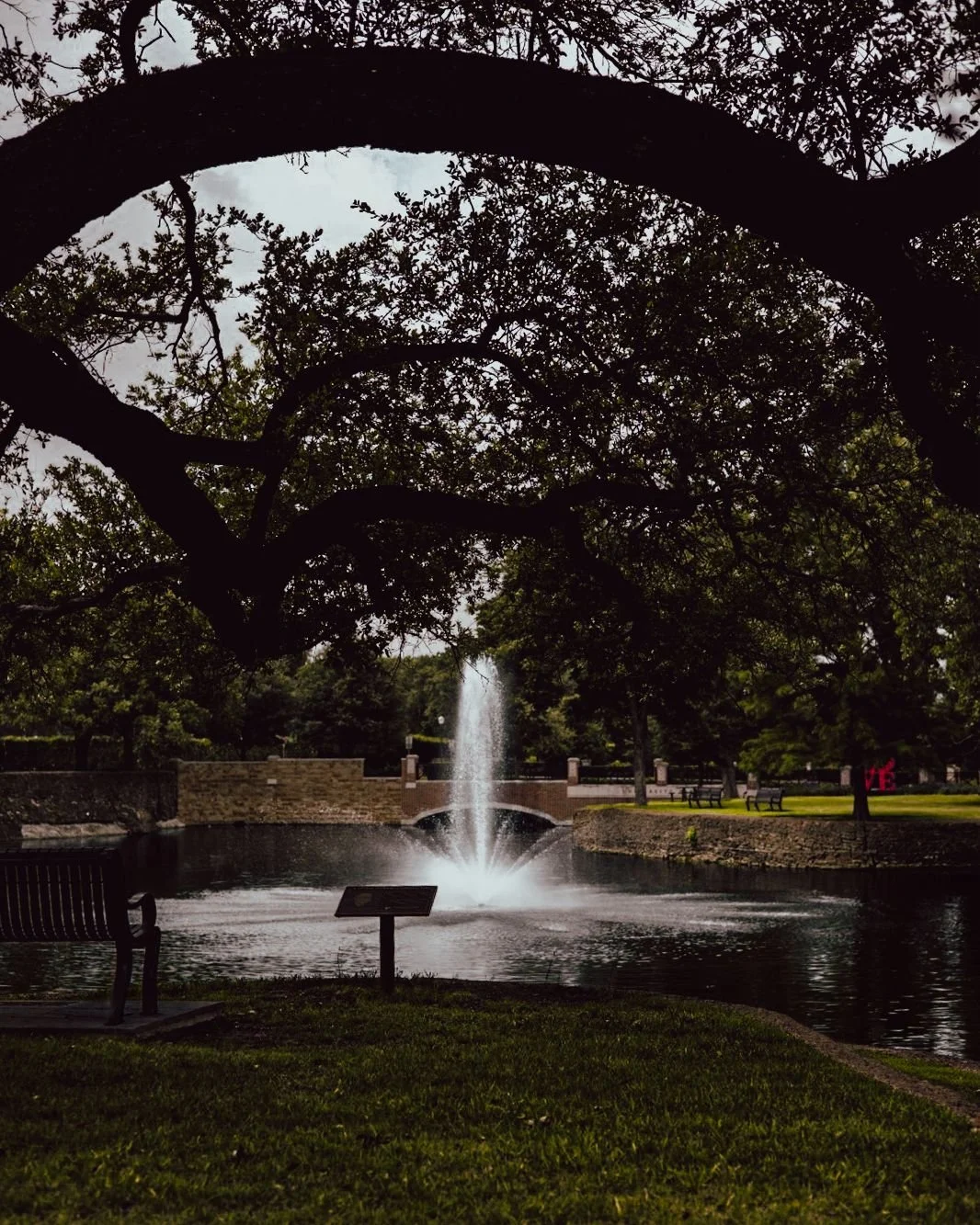 A park scene with a pond, fountain, and a bridge, seen through large overhanging tree branches with lush green foliage.